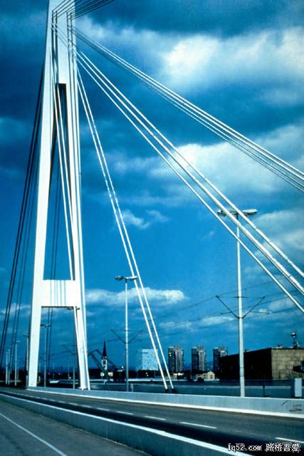 曼海姆.jpg