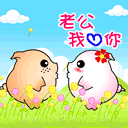 老婆老婆我爱你.gif